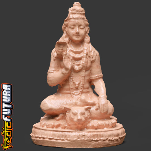 Serene Shiva: Lord of Meditation