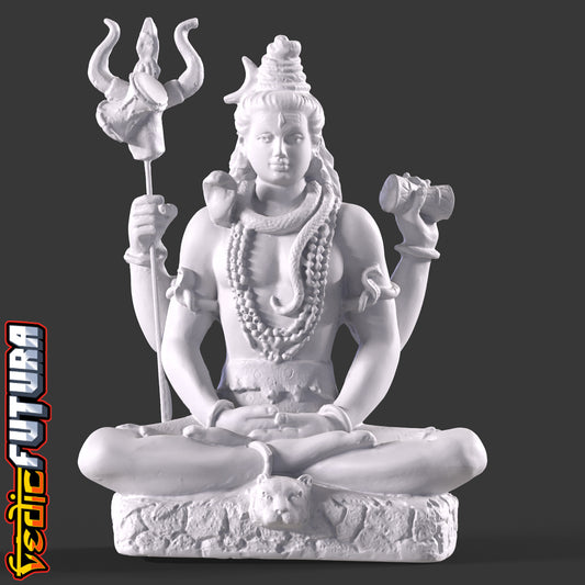 Shiva - The First Yogi